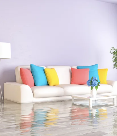 Rug Cleaning Process